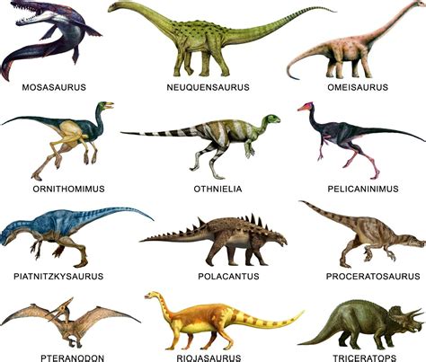 20 dinosaurios Continuara.org