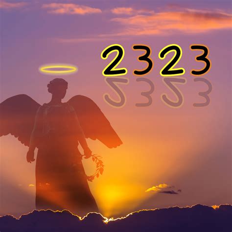 2323 Continuara.org