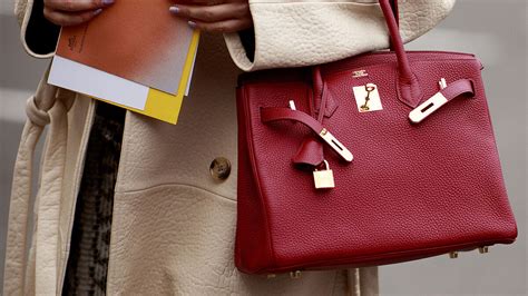 7 bolsos Continuara.org