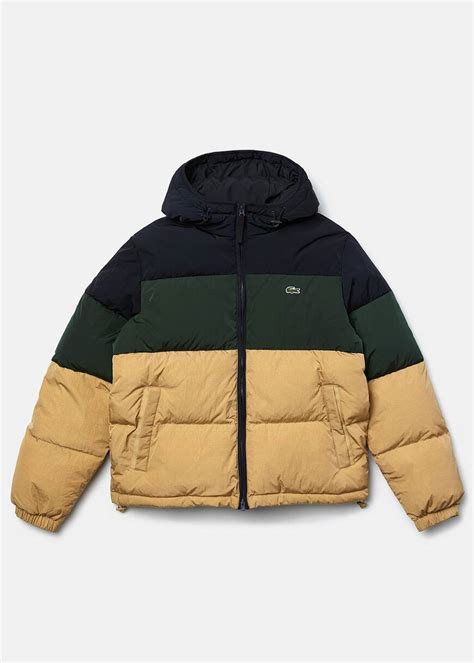 Abrigo lacoste xxl Continuara.org