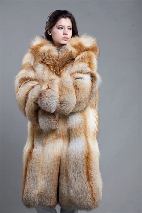 Abrigo zorro polar Continuara.org