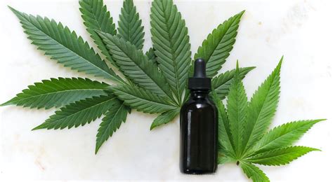 Aceite cannabis Continuara.org