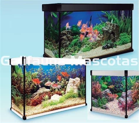 Acuario 100l Continuara.org