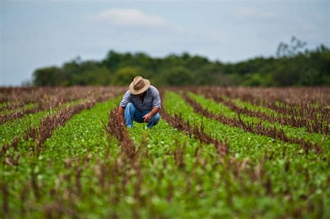 Agricola Continuara.org