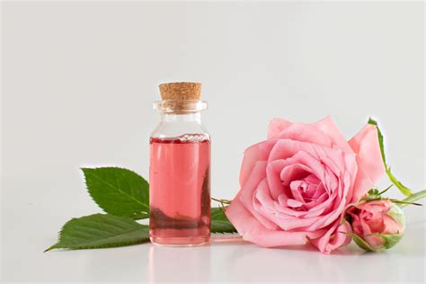 Agua rosas Continuara.org