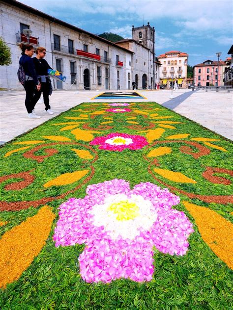 Alfombras florales Continuara.org