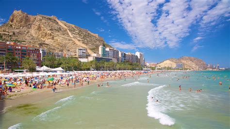Alicante Continuara.org