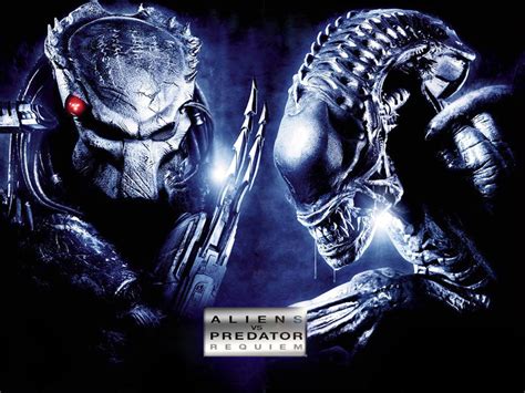 Alien vs predator Continuara.org