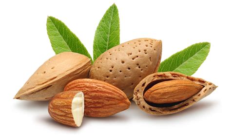 Almendra Continuara.org