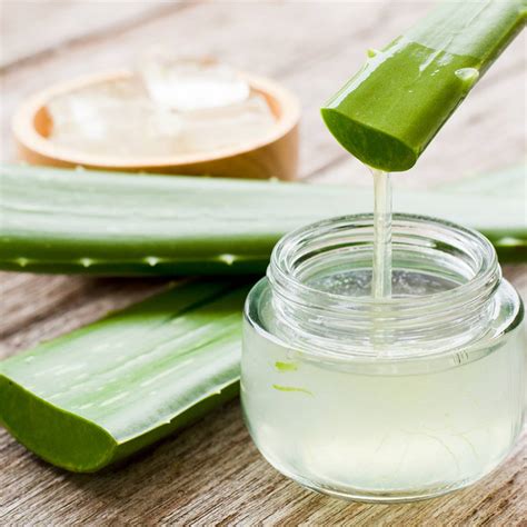 Aloevera Continuara.org