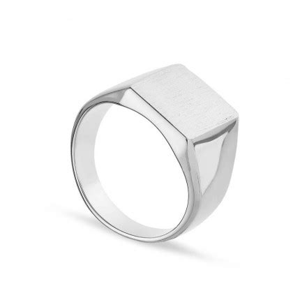 Anillo plata mate Continuara.org