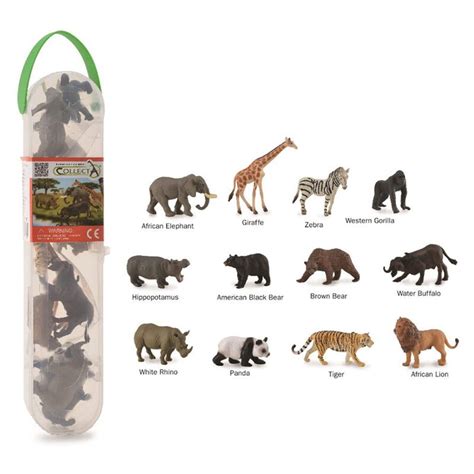 Animales collecta Continuara.org