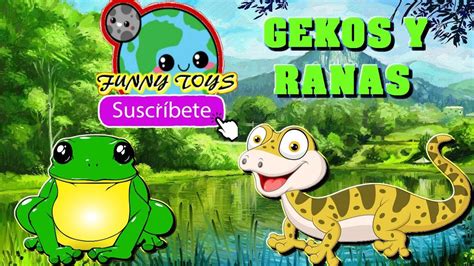 Animales grandes blanditos Continuara.org