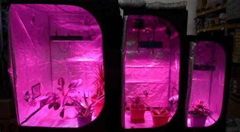 Armario cultivo interior Continuara.org