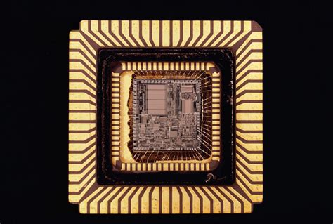 Asic Continuara.org