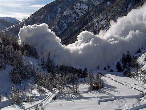 Avalanche Continuara.org