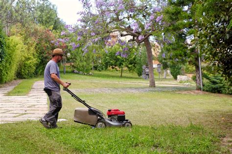 Ayudante jardineria Continuara.org