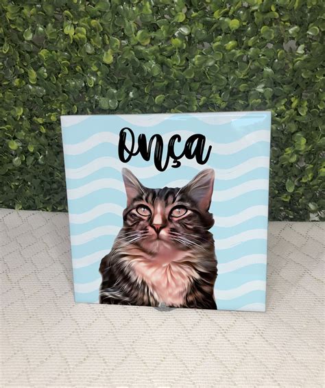 Azulejo gato Continuara.org