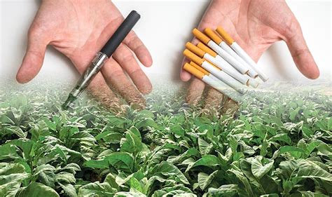 B  tabaco Continuara.org