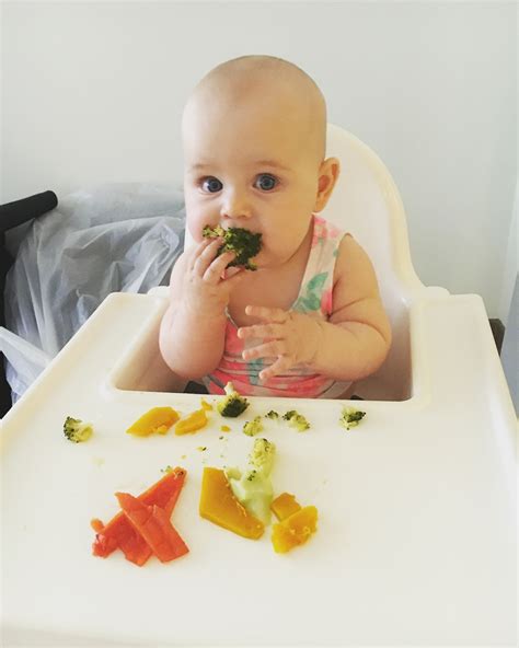 Babyled Continuara.org