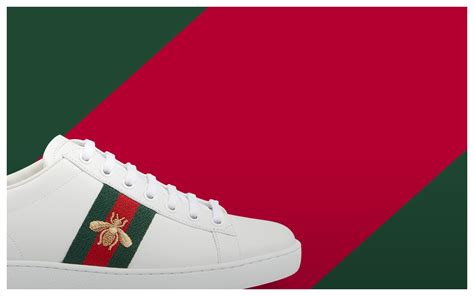 Bambas gucci gran Continuara.org