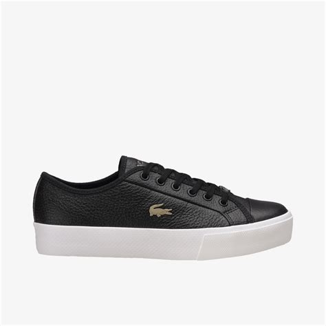 Bambas lacoste Continuara.org