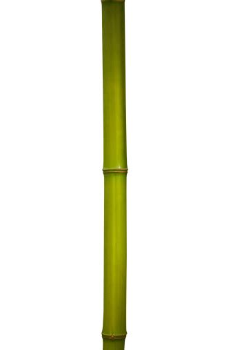 Bamboo one Continuara.org