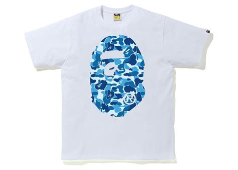 Bape t Continuara.org