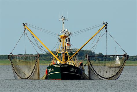 Barco pesquero Continuara.org
