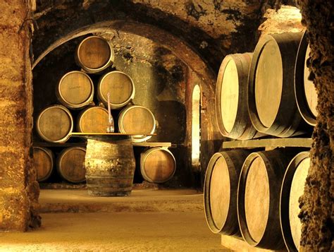 Barricas vino Continuara.org