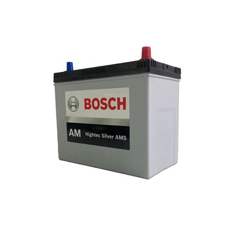 Bateria bosch al Continuara.org