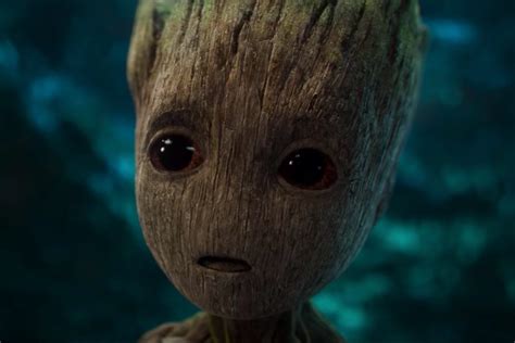 Bebe groot Continuara.org
