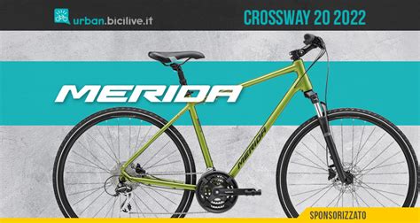 Bici economica Continuara.org