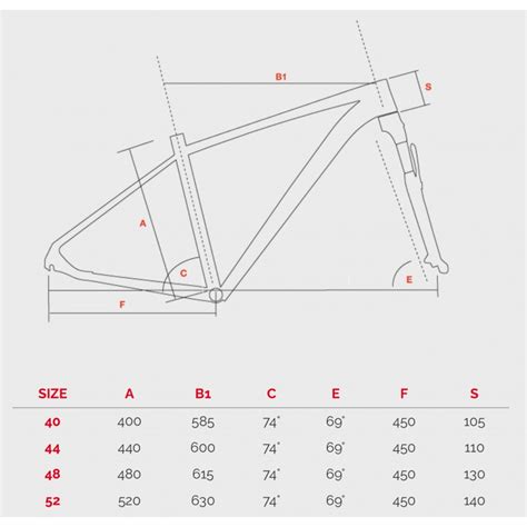 Bicicleta bottecchia talla Continuara.org