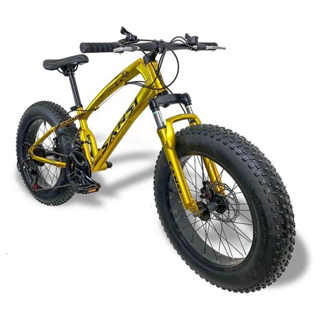 Bicicleta fatbike Continuara.org