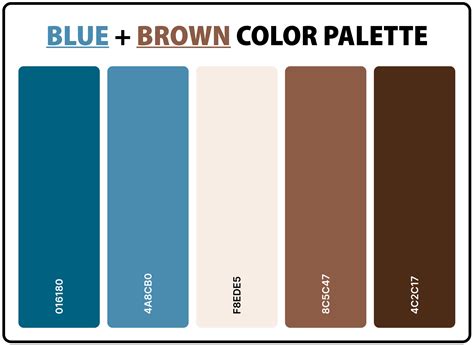 Blue and tan Continuara.org