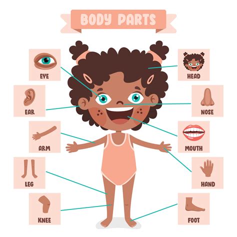 Body Continuara.org