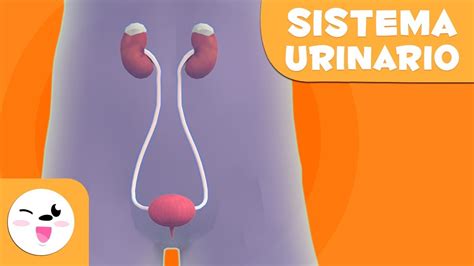Bolso urinario ninos Continuara.org