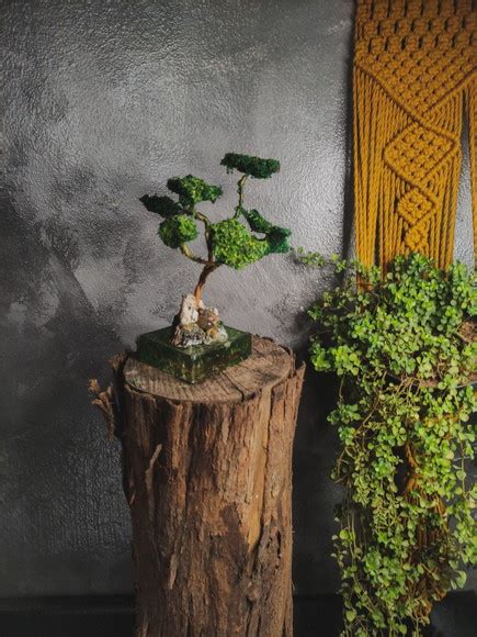 Bonsai artesanal Continuara.org