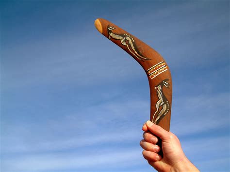 Boomerang bumeran Continuara.org