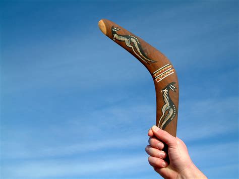 Boomerang Continuara.org