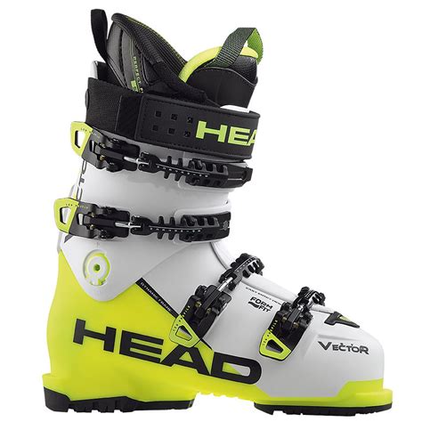 Botas head vector Continuara.org