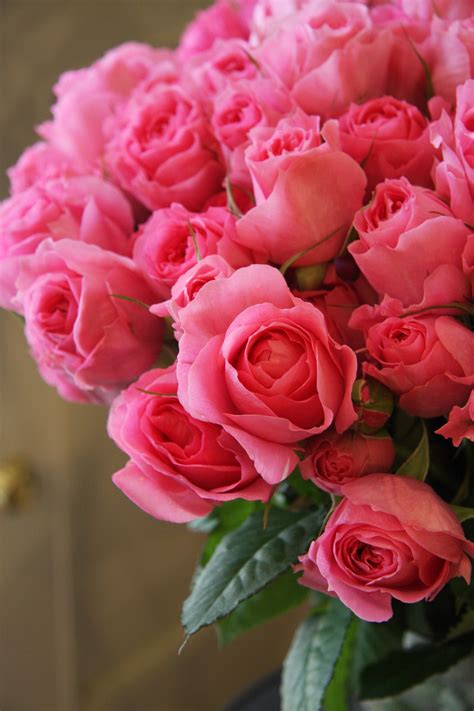 Botitas rosas Continuara.org