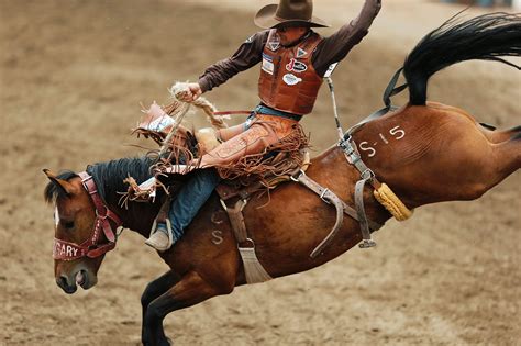 Bronc Continuara.org