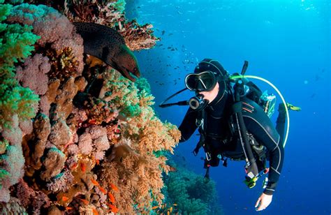 Buceo Continuara.org