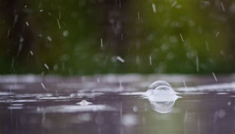Burbuja lluvia Continuara.org