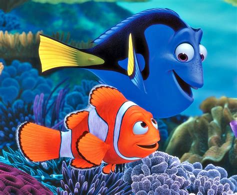 Buscando nemo Continuara.org