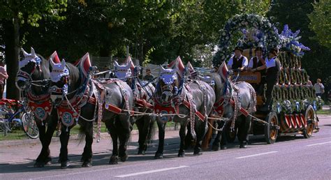Caballo billyband germany Continuara.org