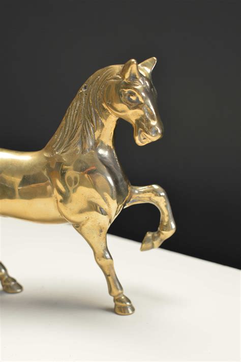 Caballo bronce Continuara.org