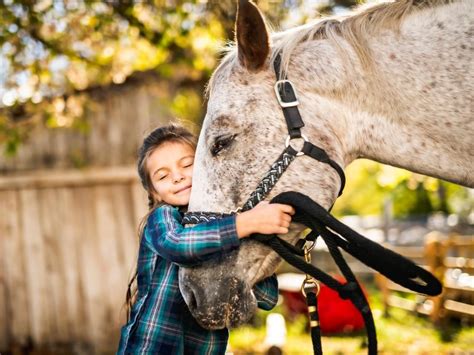 Caballo ninos Continuara.org